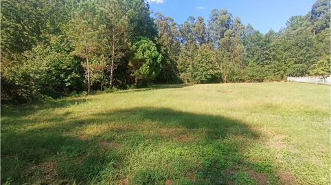 Finca urbanistica a buen de precio