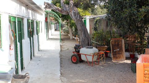 PARCELA EN VENTA (PECHINA), immagine 5