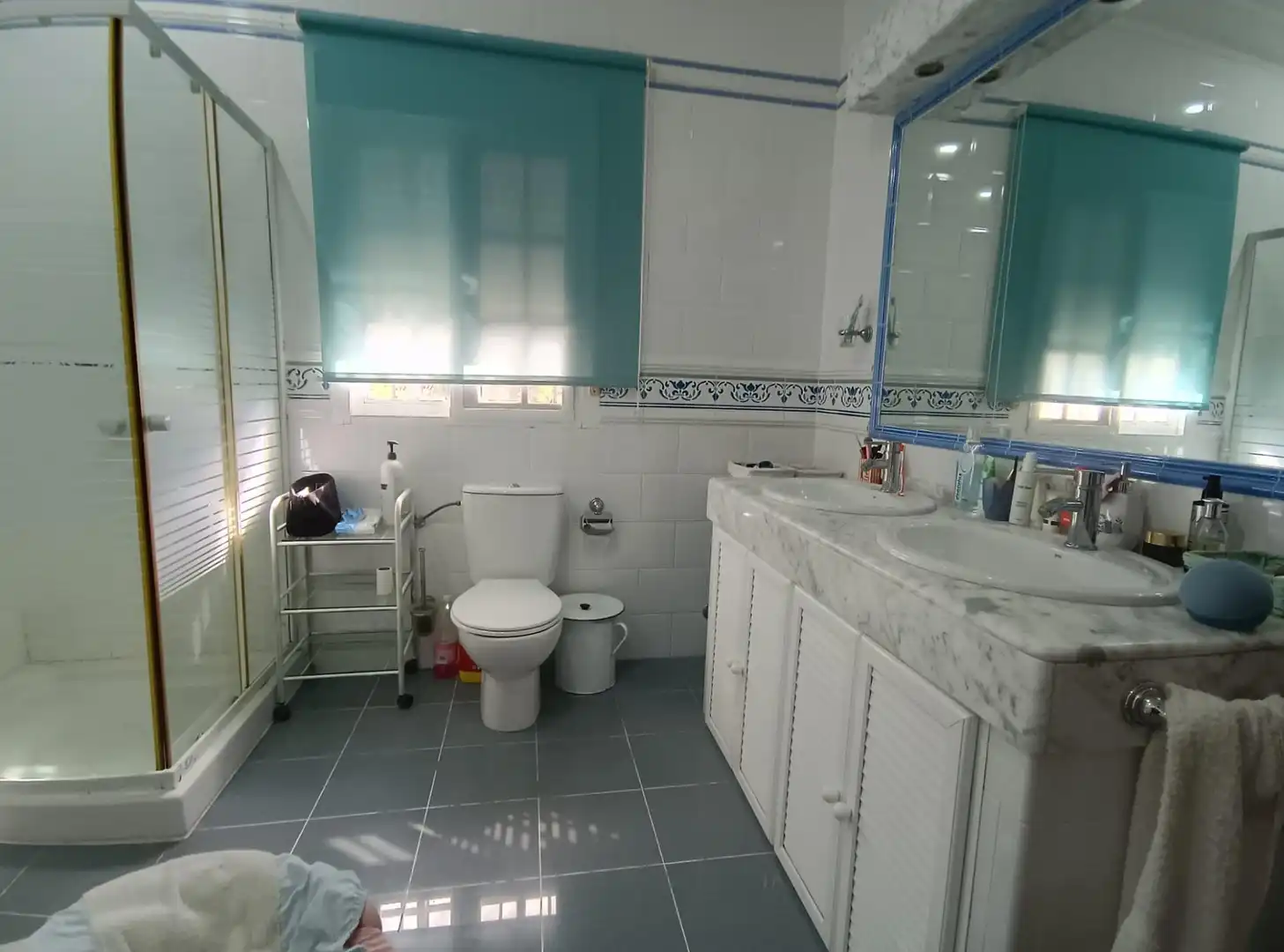 Baño de Casa o chalet en venta en Chiclana de la Frontera con Jardín privado