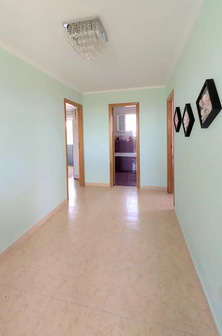 Casa o xalet en venda en Elche / Elx amb Aire condicionat, Jardí privat i Terrassa