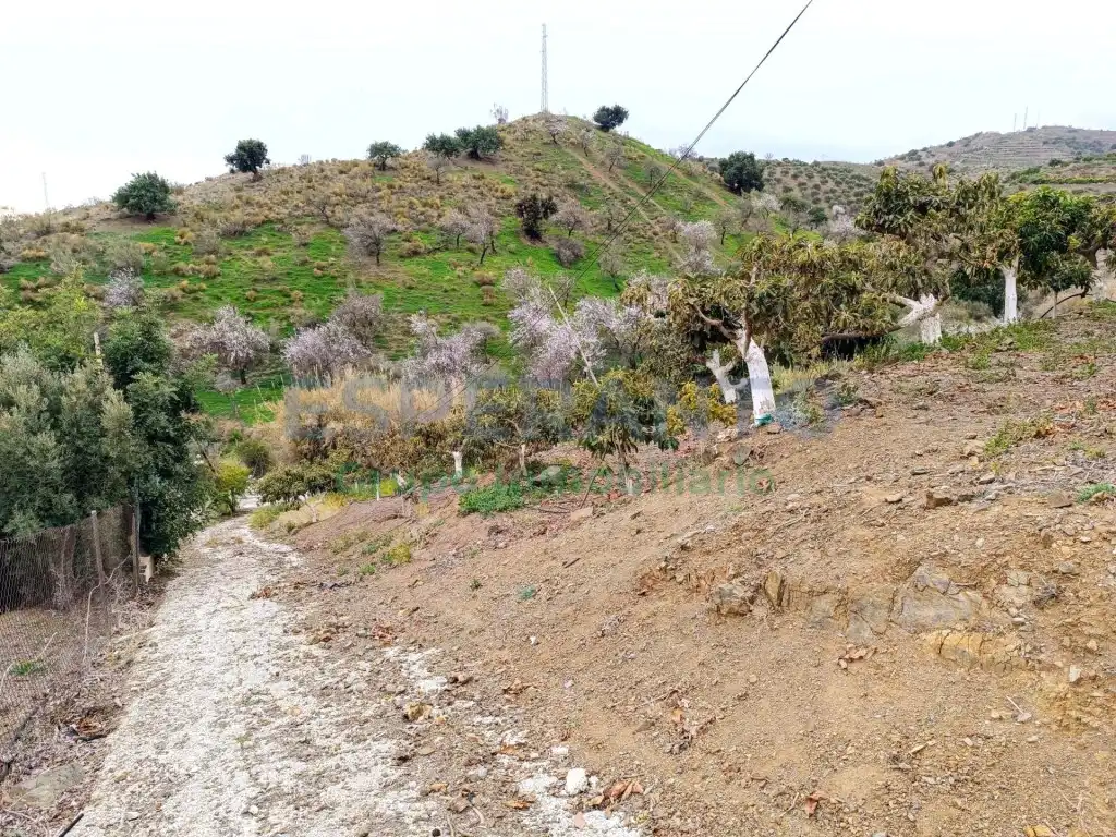 Finca rústica en venda en Vélez-Málaga amb Aire condicionat, Jardí privat i Traster