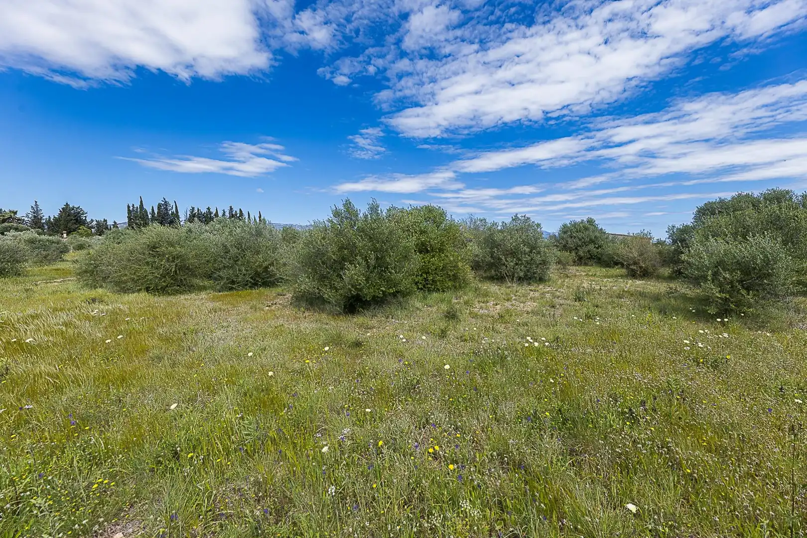 Terreny rústic en venda a Santa María del Camí, imagen 14