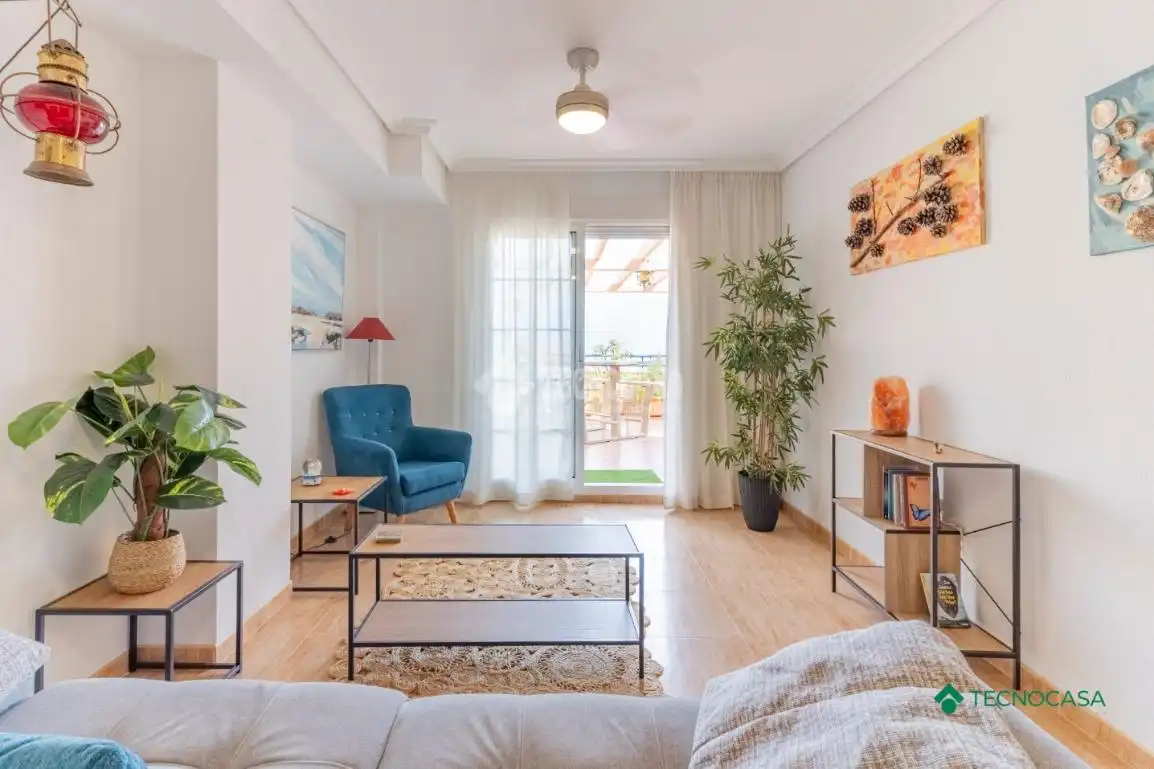 Sala d'estar de Pis en venda en Roquetas de Mar amb Parquet i Terrassa