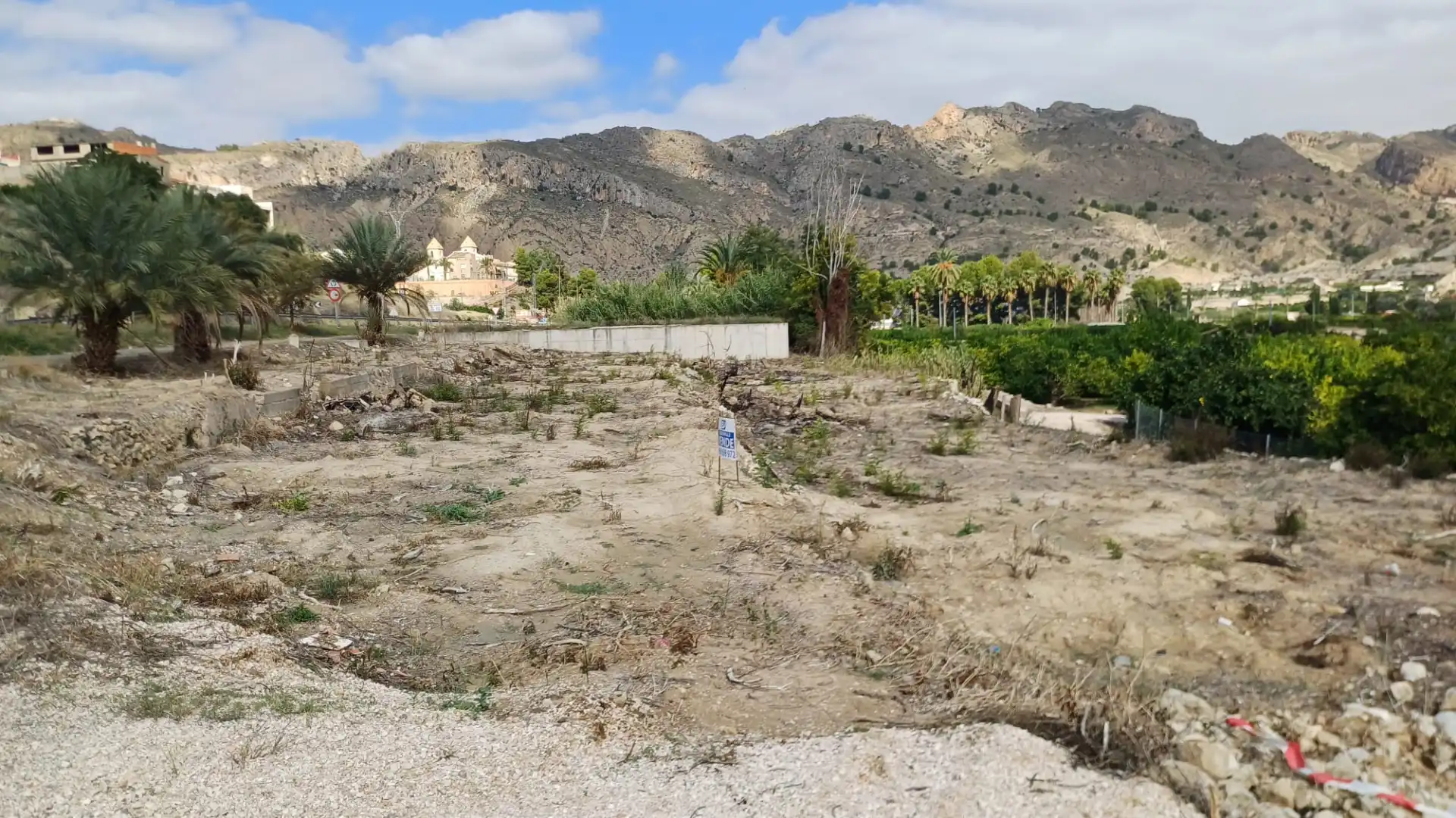 Rural land for sale in Avenida Reina Sofía 2, imagen 3