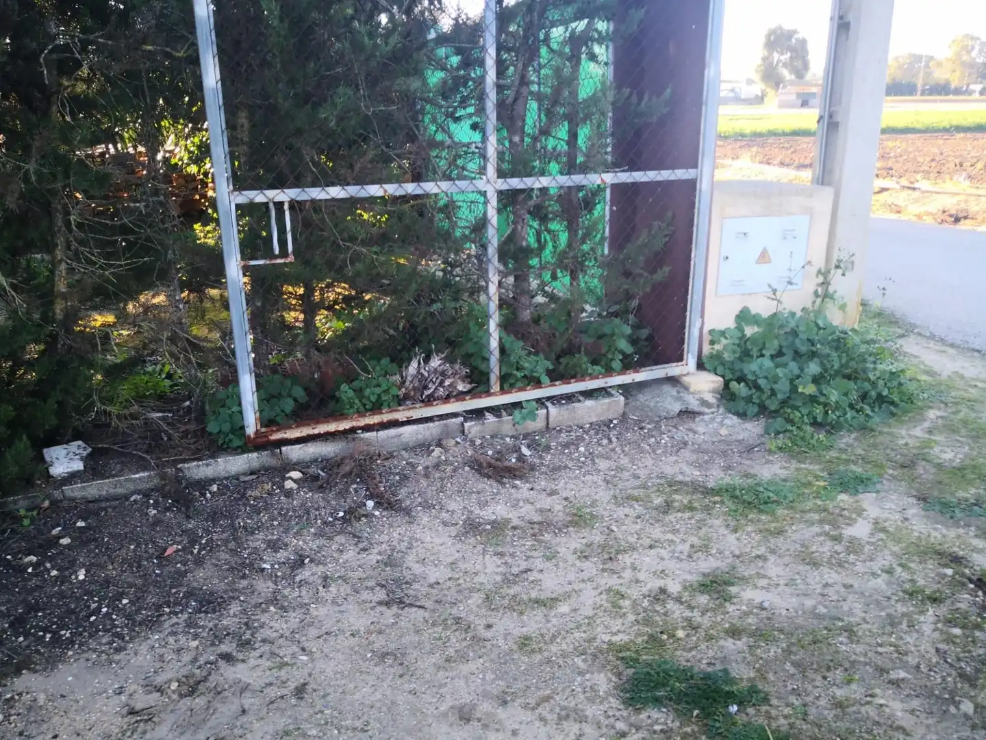 Terreno rustico in vendita a Barbate ciudad, imagen 5
