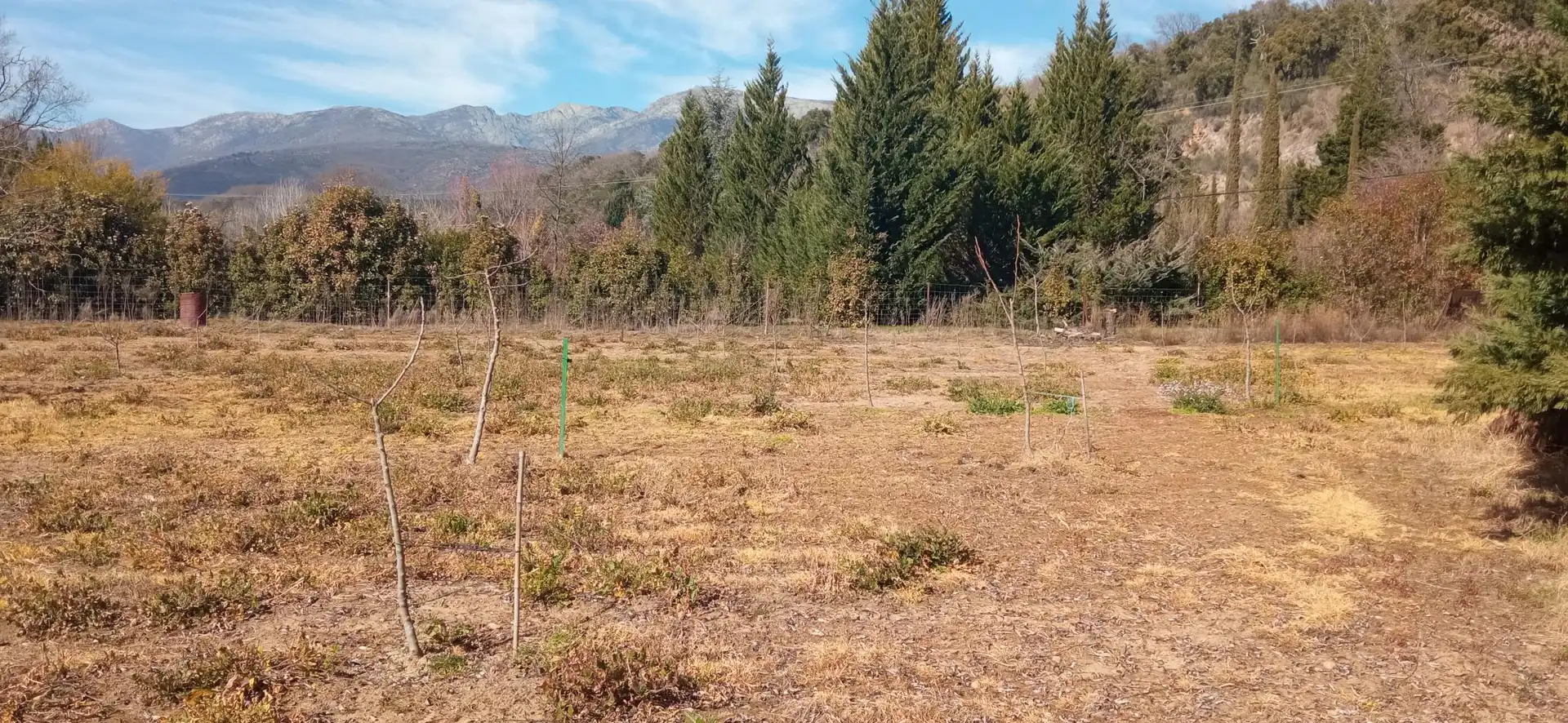 Terreni e lotti in vendita a EX-203 7, imagen 5