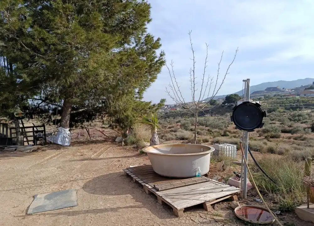 Jardí de Casa o xalet en venda en Sax