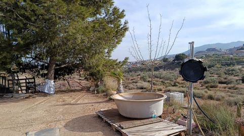 Foto 2 von Haus oder Chalet zum Verkauf in N/a, -1, Sax, Alicante