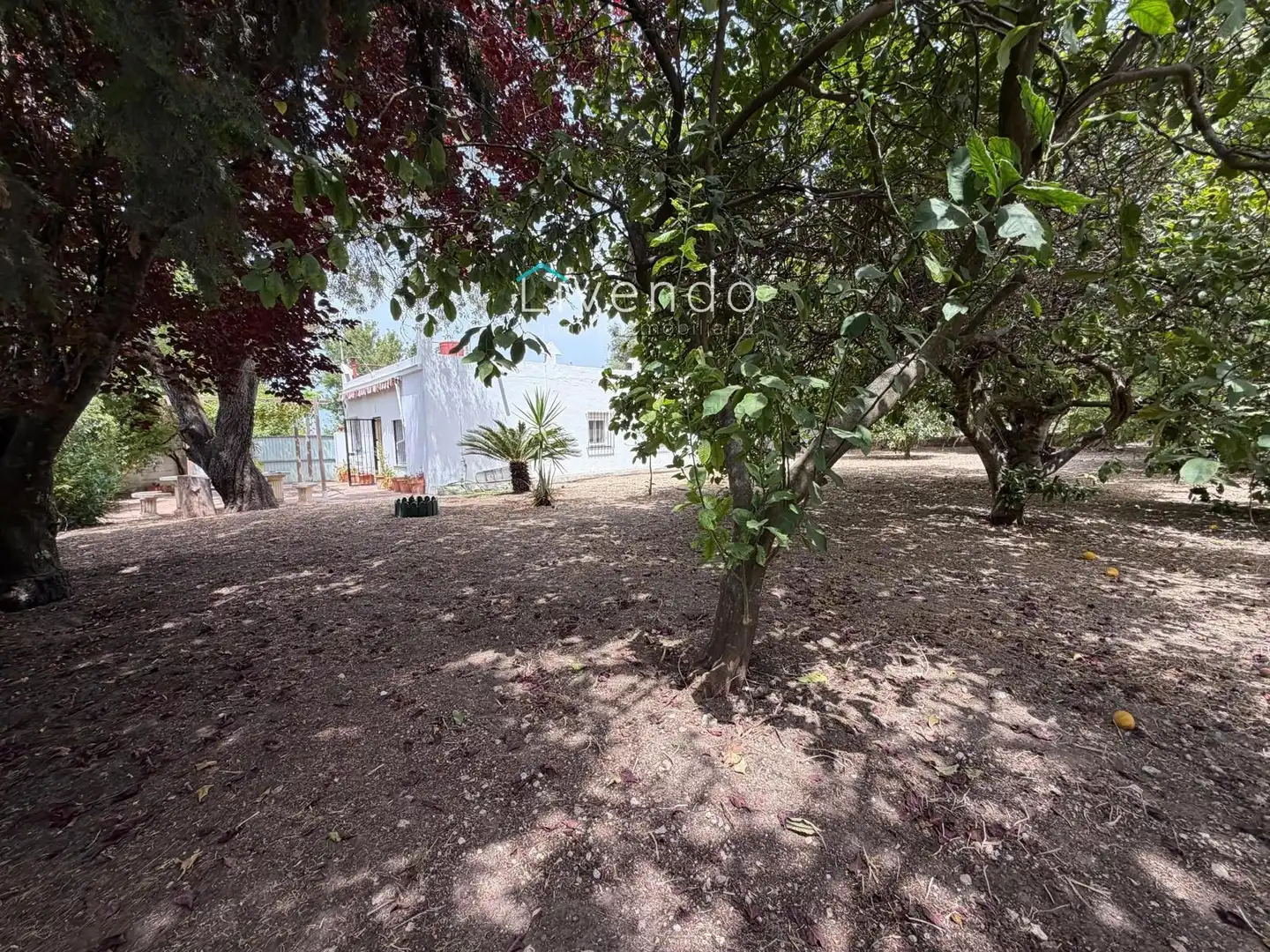 Chalet en venta en BARRIO NUEVO, imagen 26