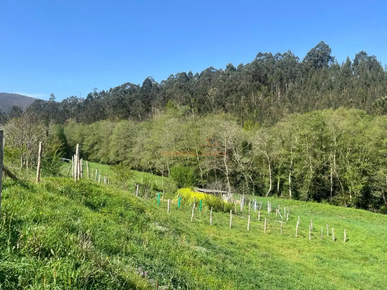 Houses for sale in San Sadurniño  with Heating, Private garden and Swimming Pool