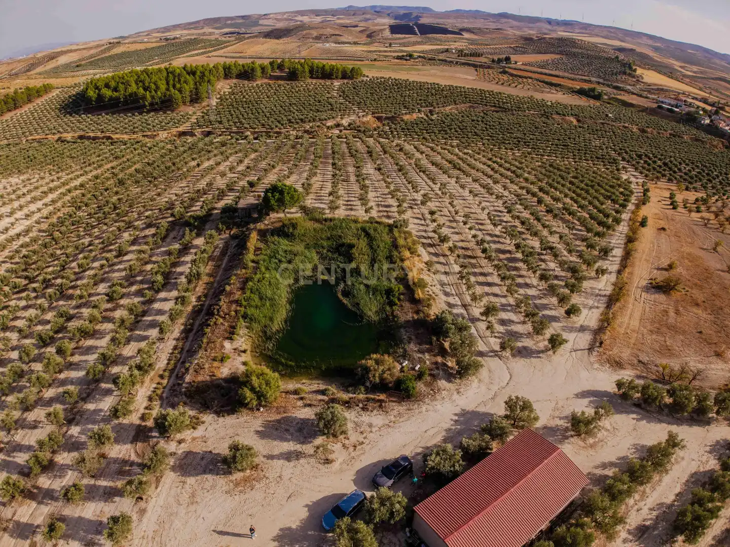 Terreno rústico en venta en 472M+GF La Malahá, Spain, imagen 4