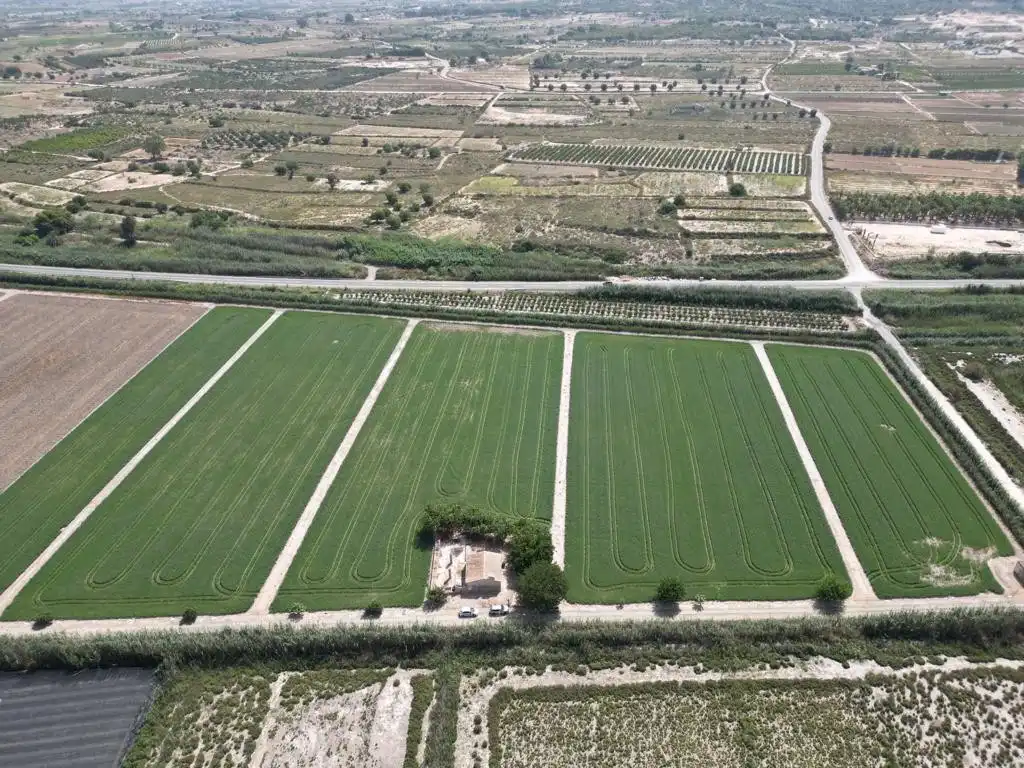 Garten von Country house zum Verkauf in Elche / Elx