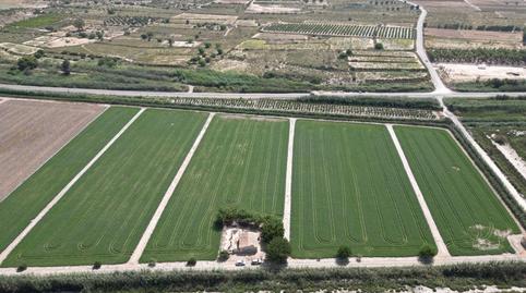 Foto 5 de Finca rústica en venda a La Marina, Elche / Elx
