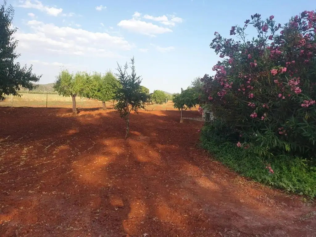 Xalet en venda a Argamasilla de Calatrava, imagen 9