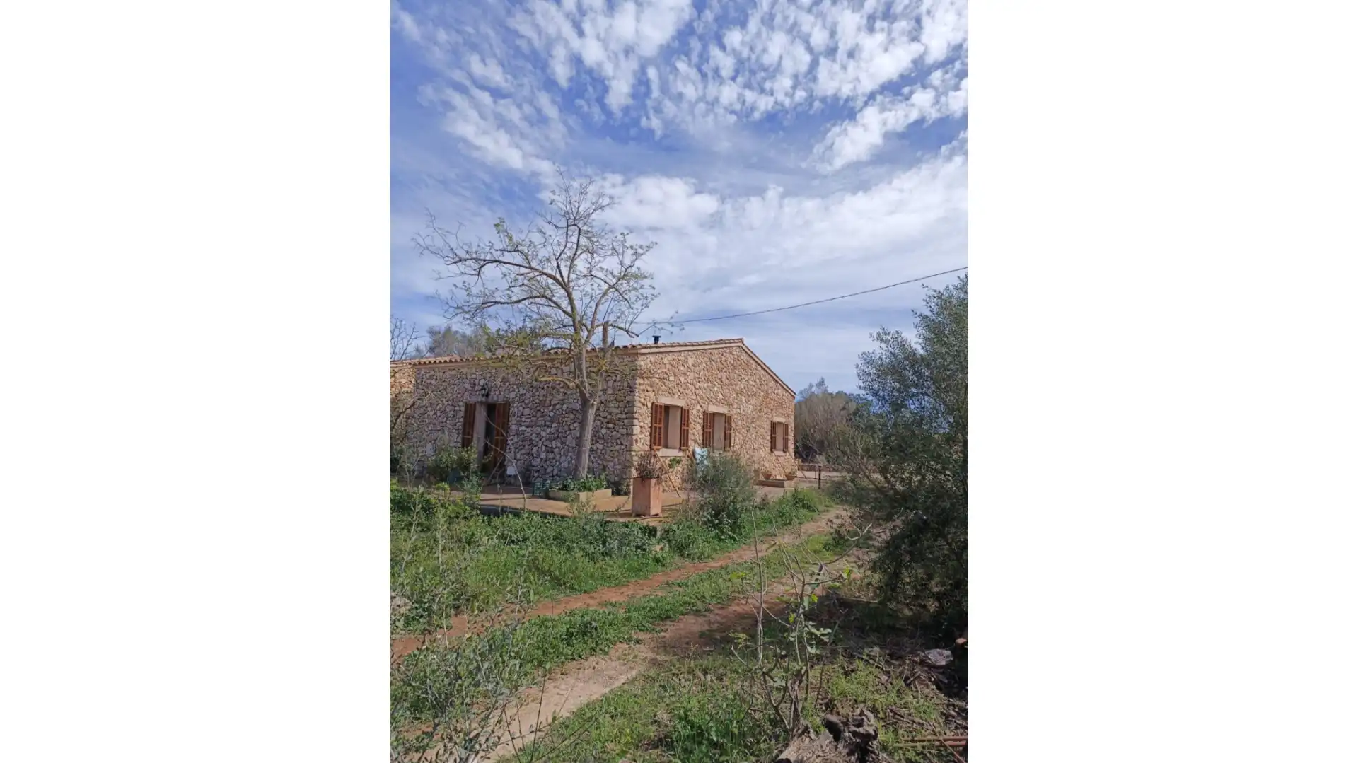 Jardí de Finca rústica en venda en Vilafranca de Bonany amb Jardí privat i Terrassa
