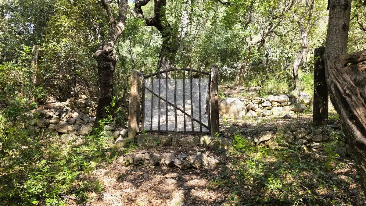 Terreny rústic en venda a Sóller, imagen 18