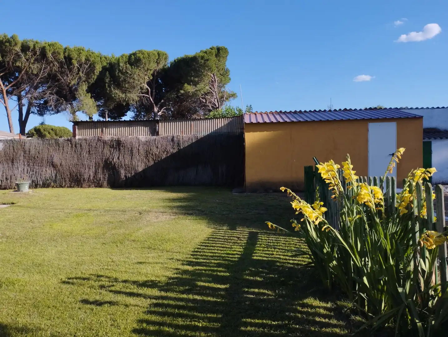 House with garden for sale in Urbanización las Salinas 1, imagen 6