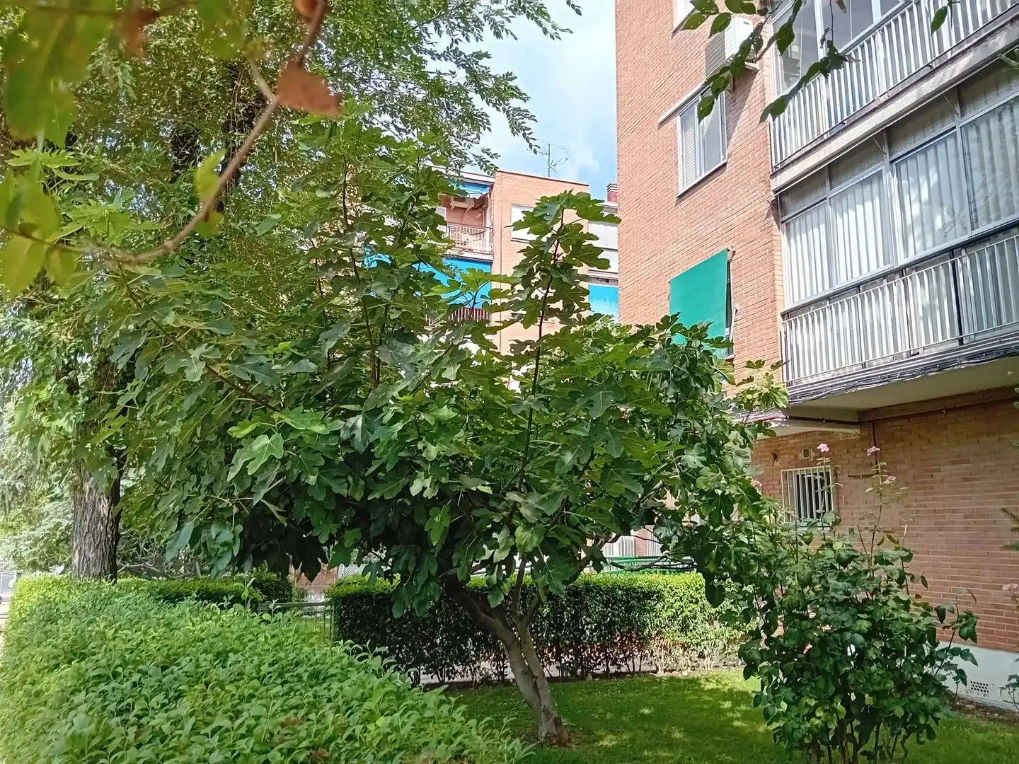 Flat for sale in Centro