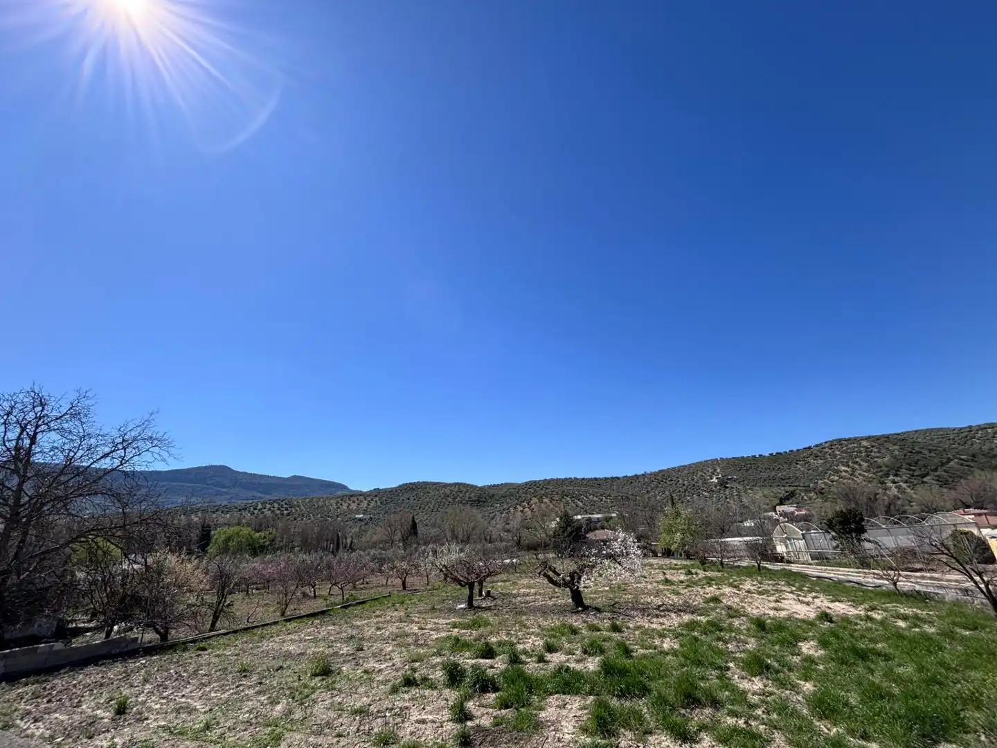 Country homes for sale in DISEMINADO, Castillo de Locubín