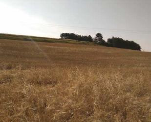 Land for sale in Burgos Capital