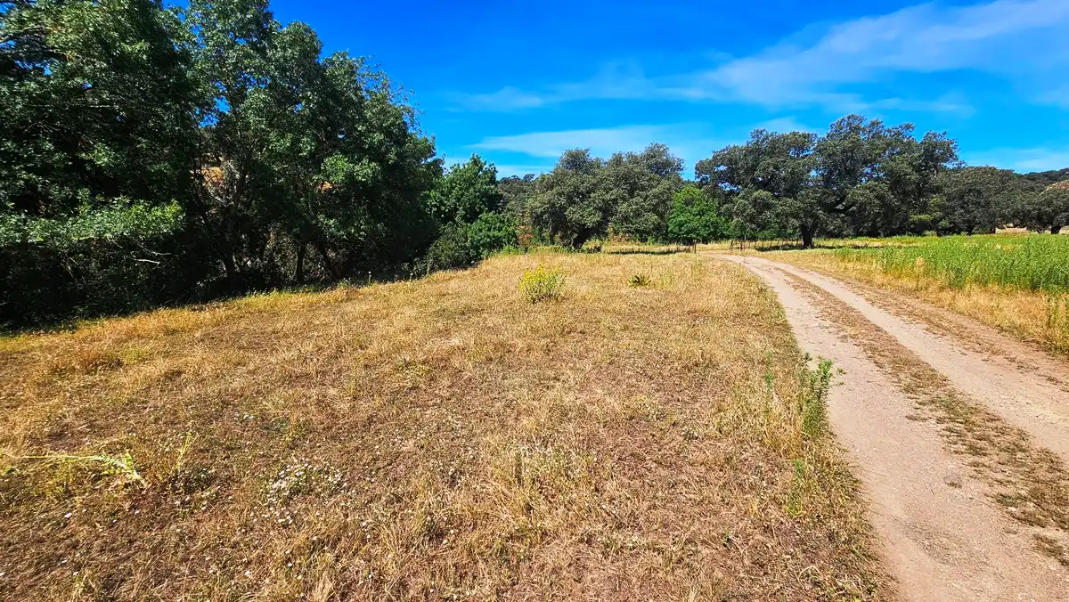 Terrenos y solares en venta en Aracena, imagen 46