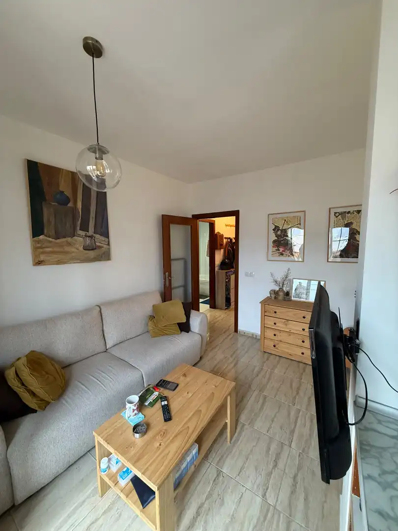 Living room of Attic for sale in Roquetas de Mar ciudad