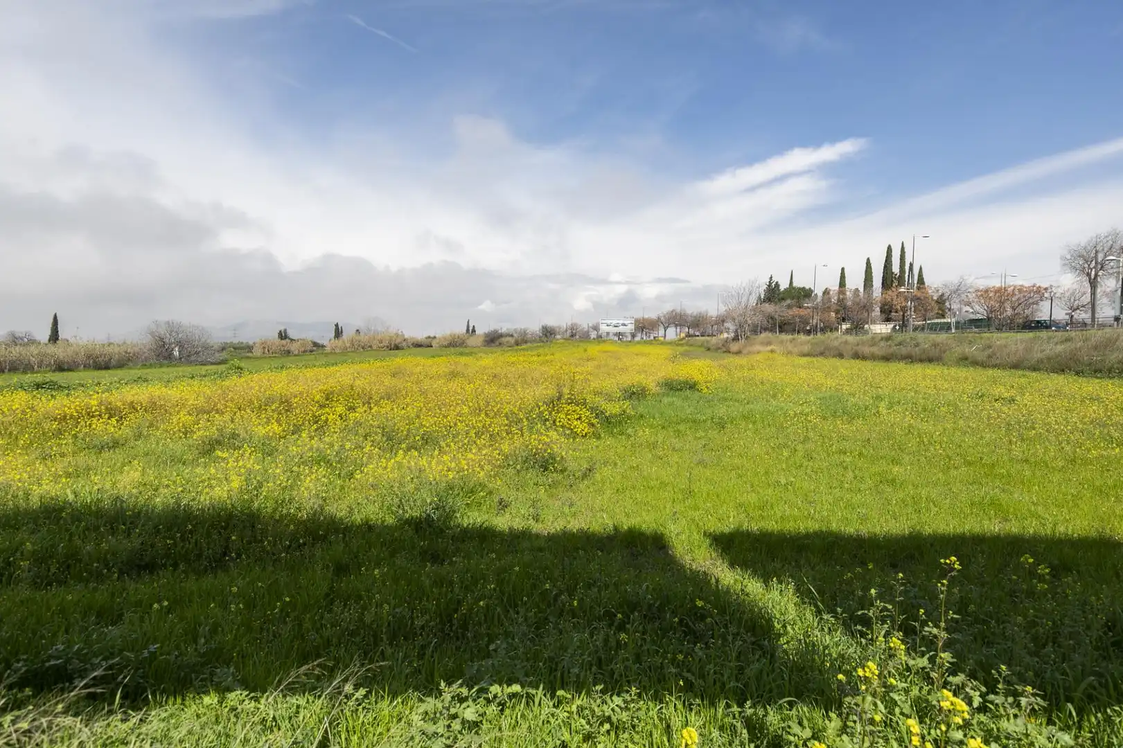 Land for sale in Granada