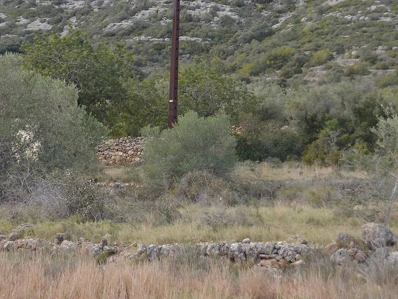 Terreny rústic en venda a Pont Godall/Dressera/Ermita, imagen 7