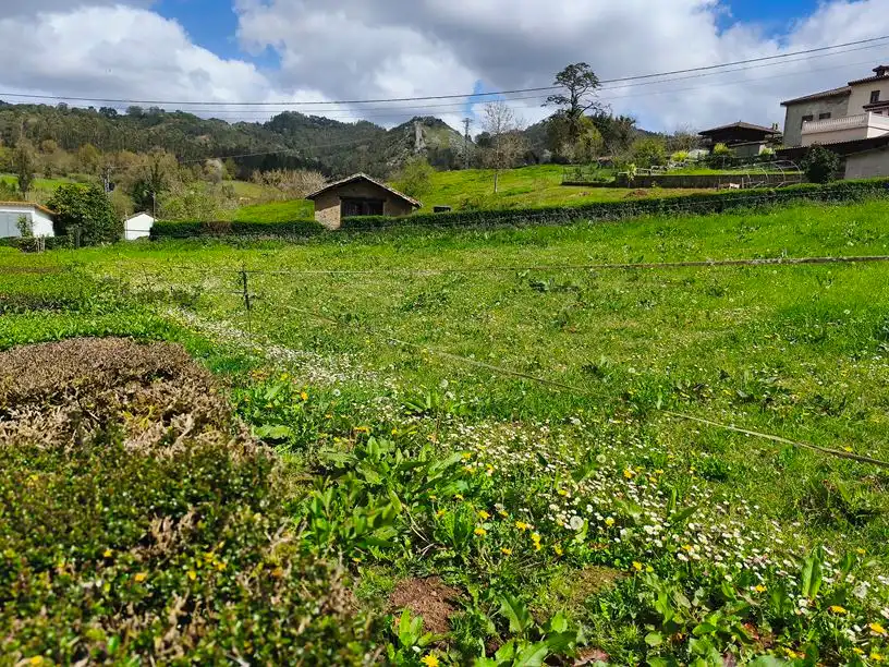Terreno residencial en venta en Aldea Ferreras 24, imagen 17