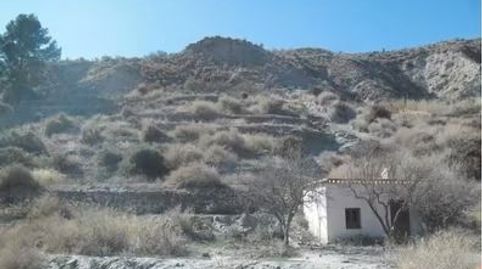 PARCELA CON CORTIJO A RESTAURAR, immagine 2