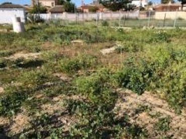 Terreni e lotti in vendita a Los Gallos