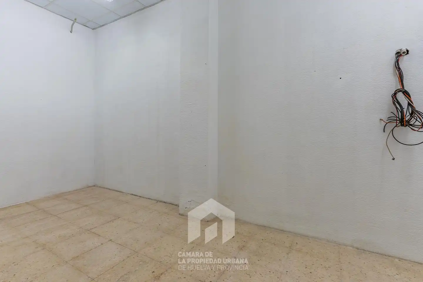 Local comercial en alquiler en Isla Chica, imagen 27
