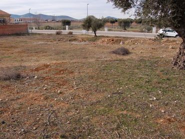 Terreno rustico in vendita a Calle BAILEN 4