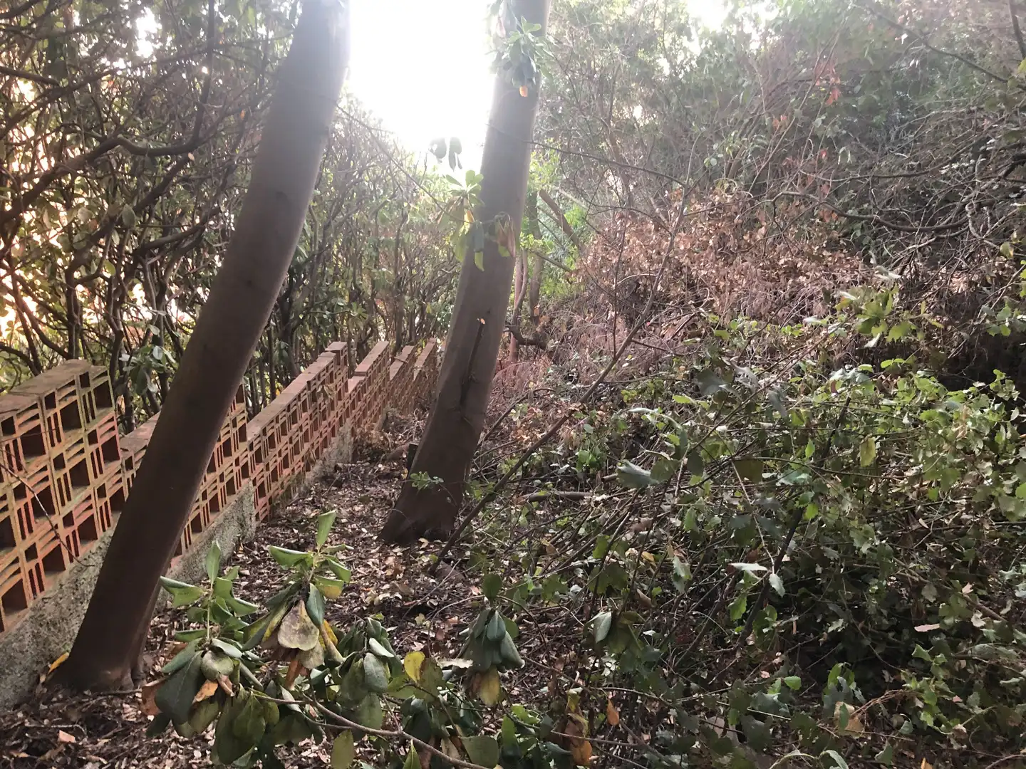 Terreno residencial en venta en Camino Mataro de 67, imagen 19