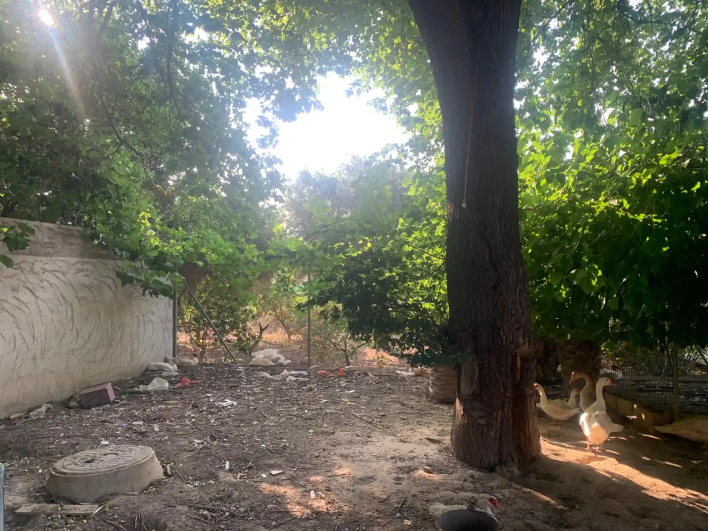 Finca rústica en venda a Alquerías