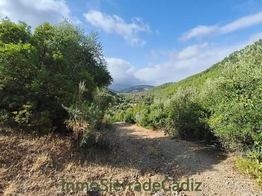 Finca rústica en venda en Algodonales