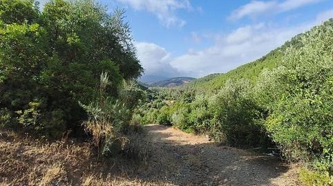 Finca Rúst. en venta en La Nava y Lapa., imagen 2