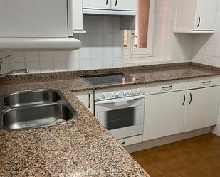 Kitchen of Apartment to rent in Laguardia  with Heating, Furnished and Washing machine