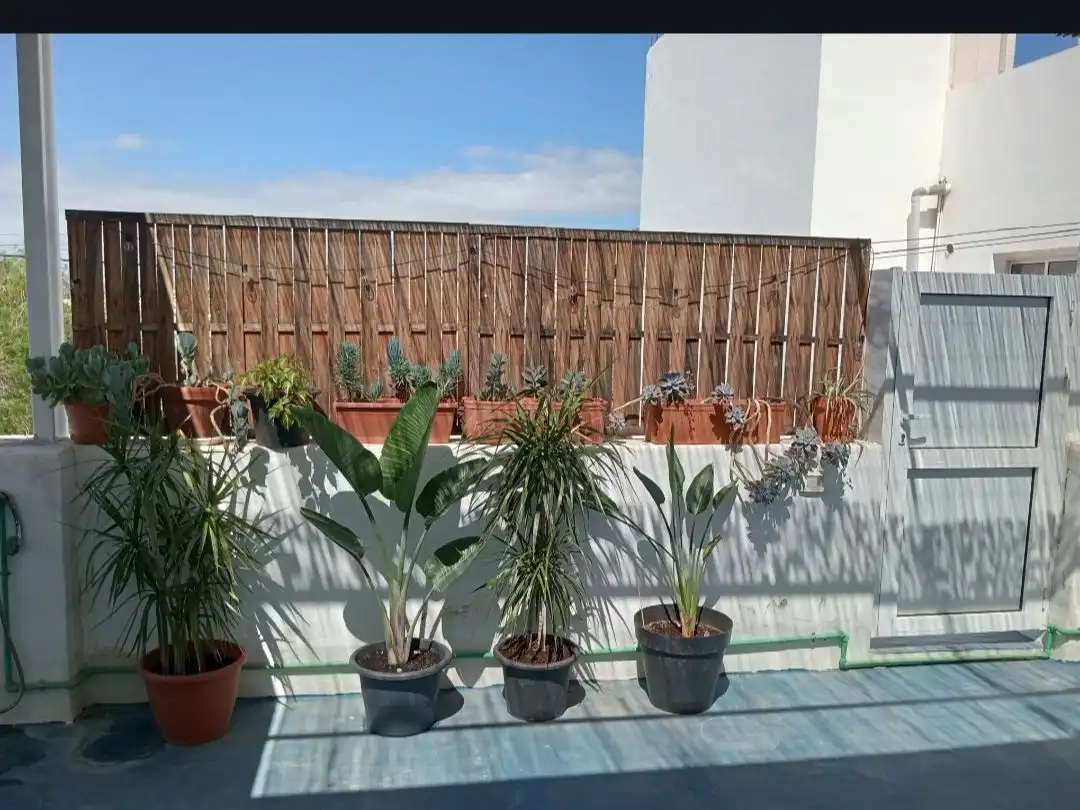 Ático de alquiler en Calle Montañita Gómez, 7, San Isidro