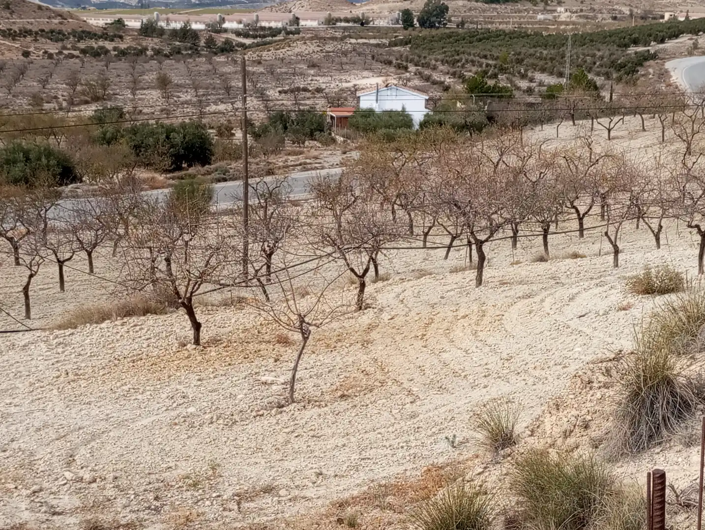 Casa o chalet en venta en Purchena con Amueblado