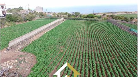 Photo 5 of Land for sale in Camino Cueva del Rey, 12, San Felipe - San Marcos - Las Cañas, Icod de los Vinos