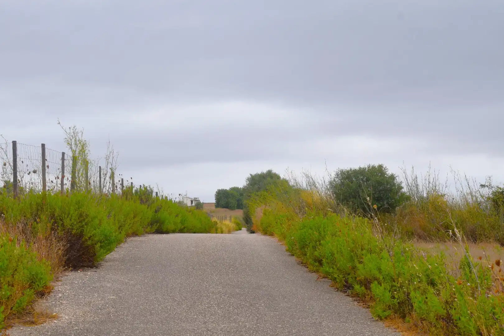 Residential land for sale in Santa Margalida Poble, imagen 25