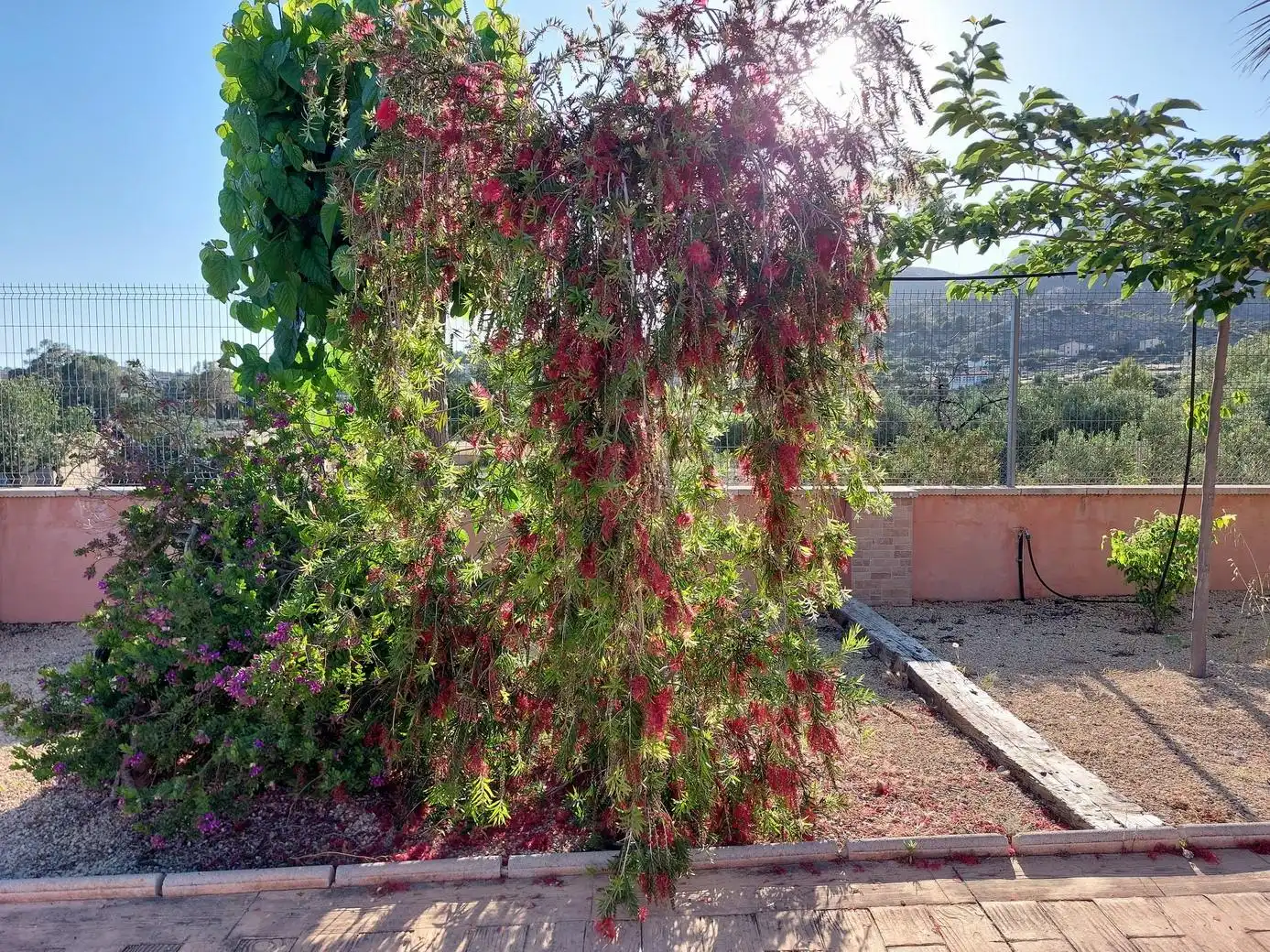 Jardí de Casa o xalet en venda en Aigües amb Calefacció, Jardí privat i Terrassa