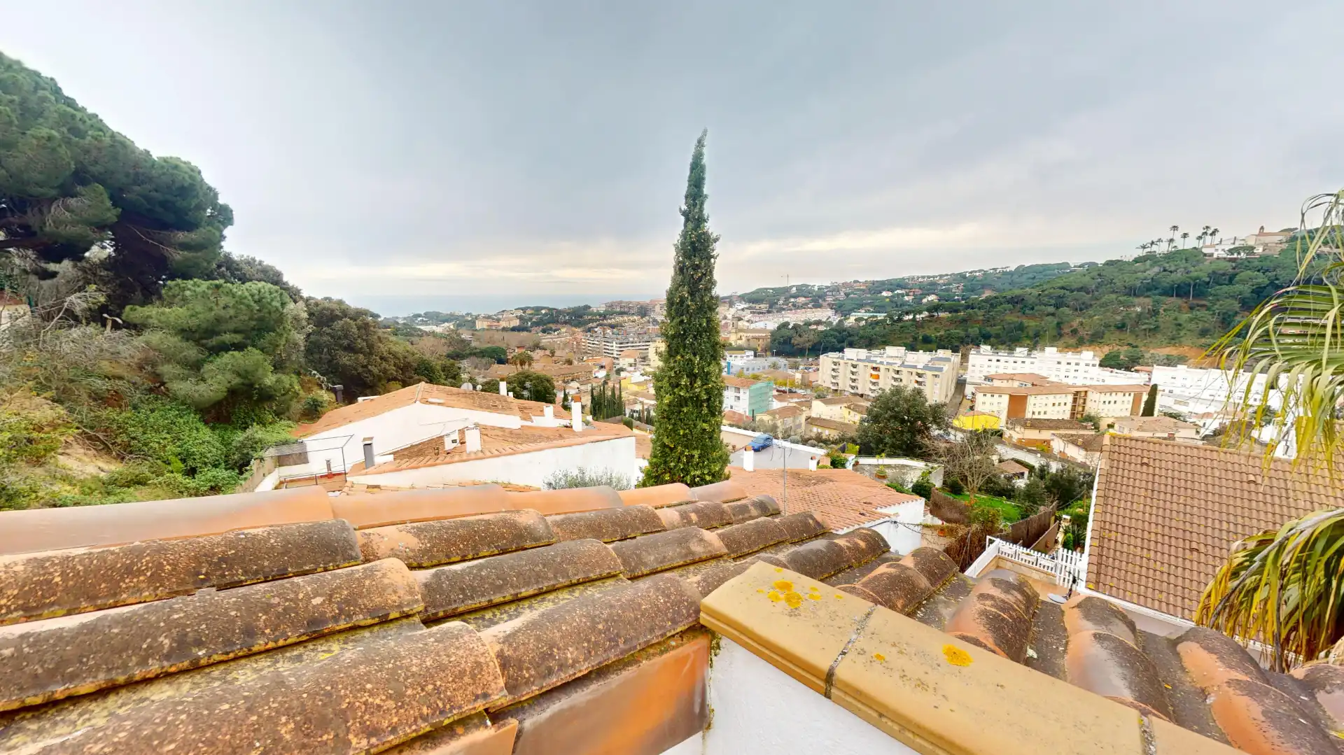 Vista exterior de Casa o chalet en venta en Sant Andreu de Llavaneres con Aire acondicionado, Calefacción y Jardín privado