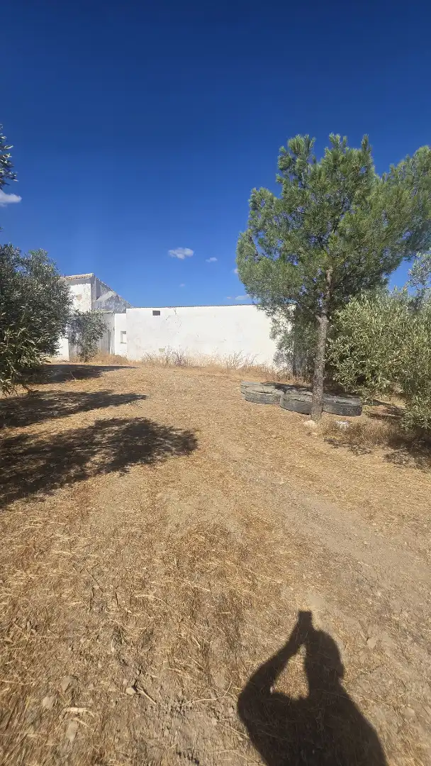 Terrain rustique à vendre à Las Vegas - Campoaras, imagen 5