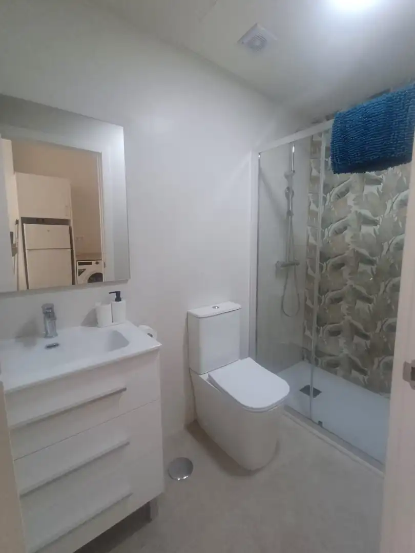 Badezimmer von Wohnung zur Miete in Málaga mit Möbliert