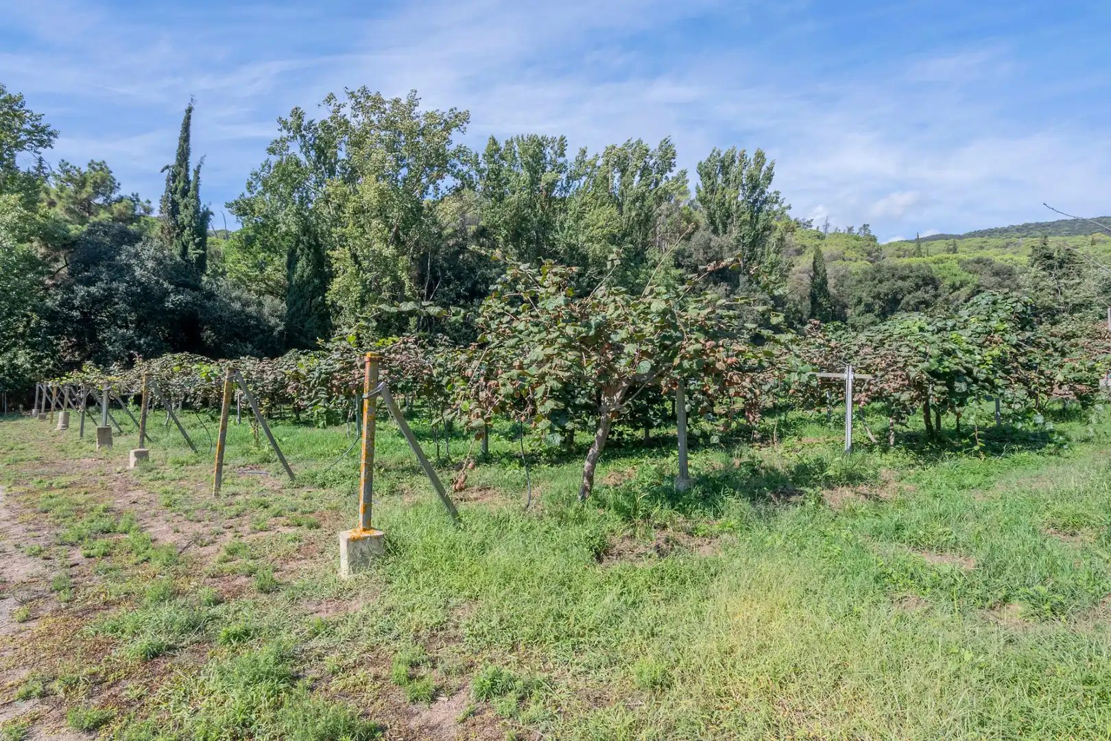 Casa rústica con piscina en venta en Camí Can Cabot de Munt, imagen 80