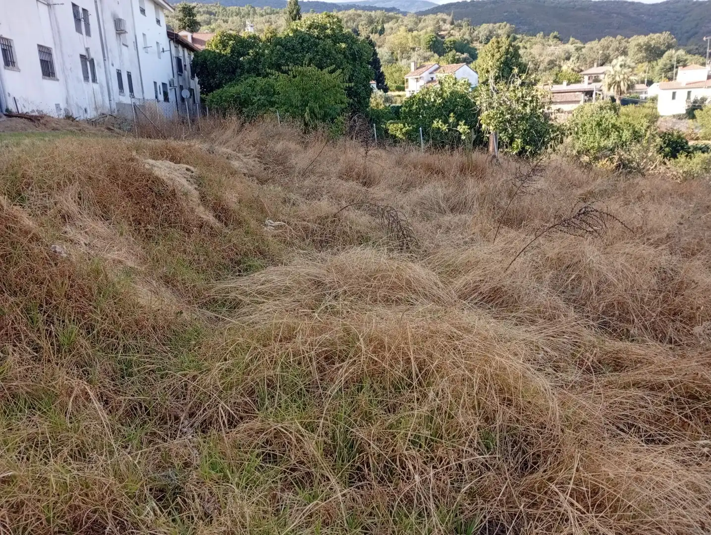 Terreni e lotti in vendita a Villanueva de la Vera, imagen 19