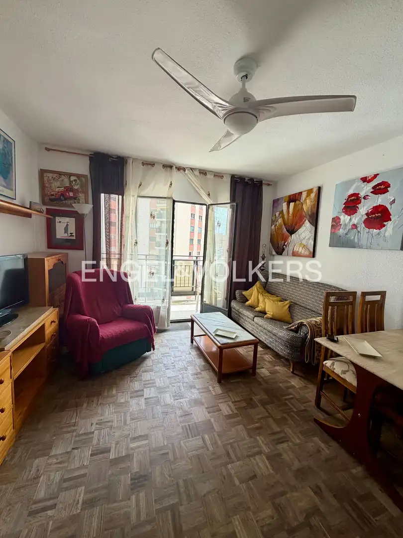 Sala de estar de Piso de alquiler en Valencia con Calefacción, Parquet y Amueblado