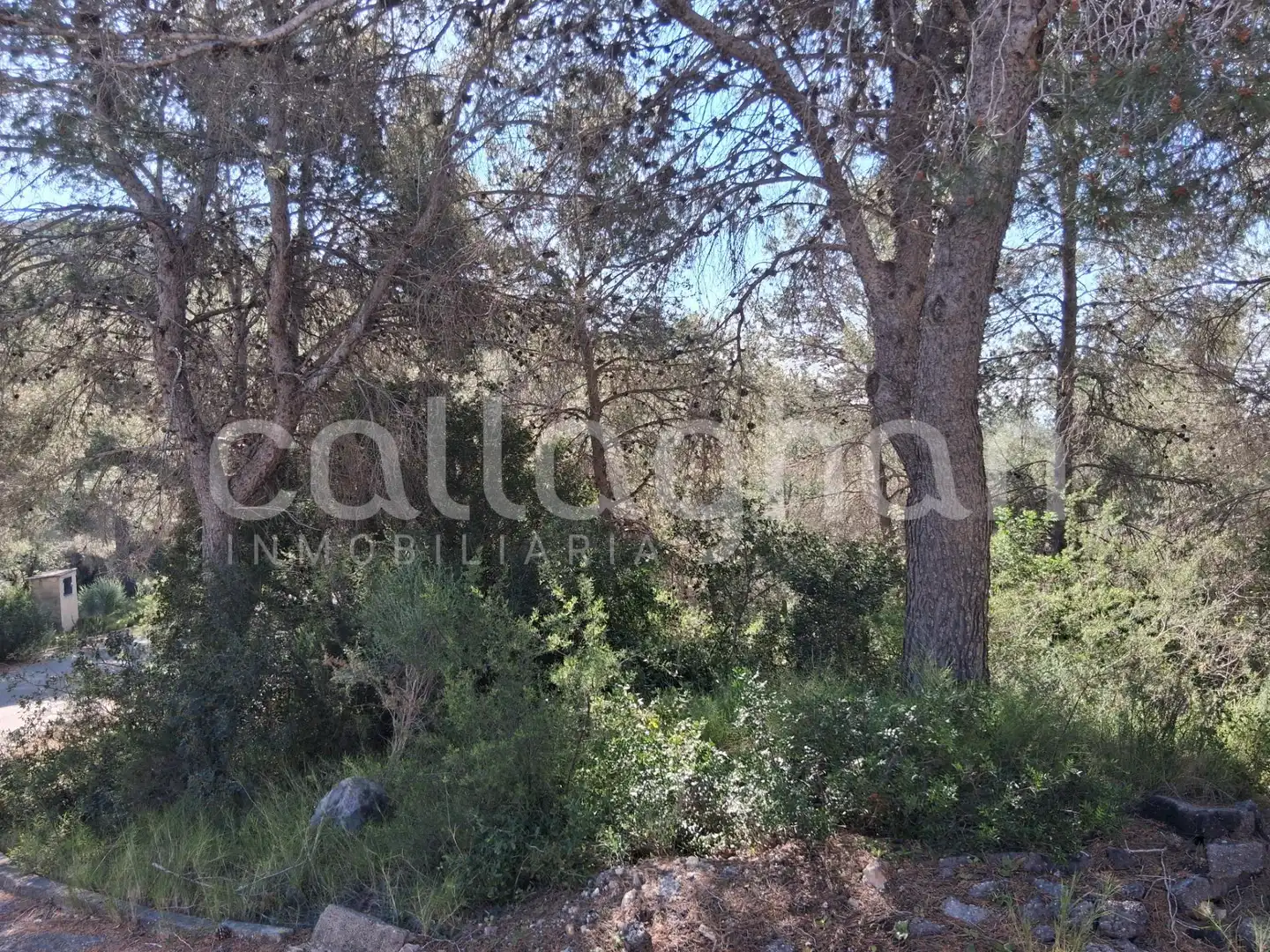 Residential land for sale in Camino de la Creu d'Horquera, imagen 23